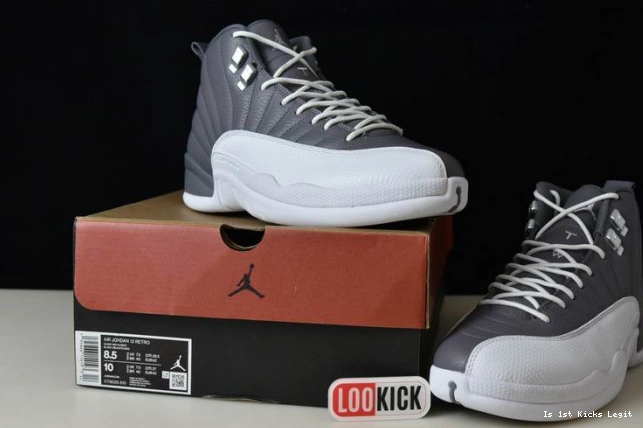 JORDAN STEALTH 12 CT8025-610 AIR 0608